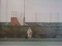 Terrier ay Wherrytown by Jason Walker - click for more detail