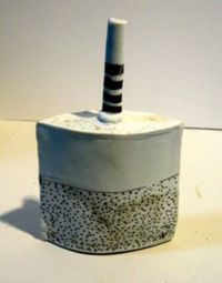Porcelain Bottle by Robin Welch - click for more detail